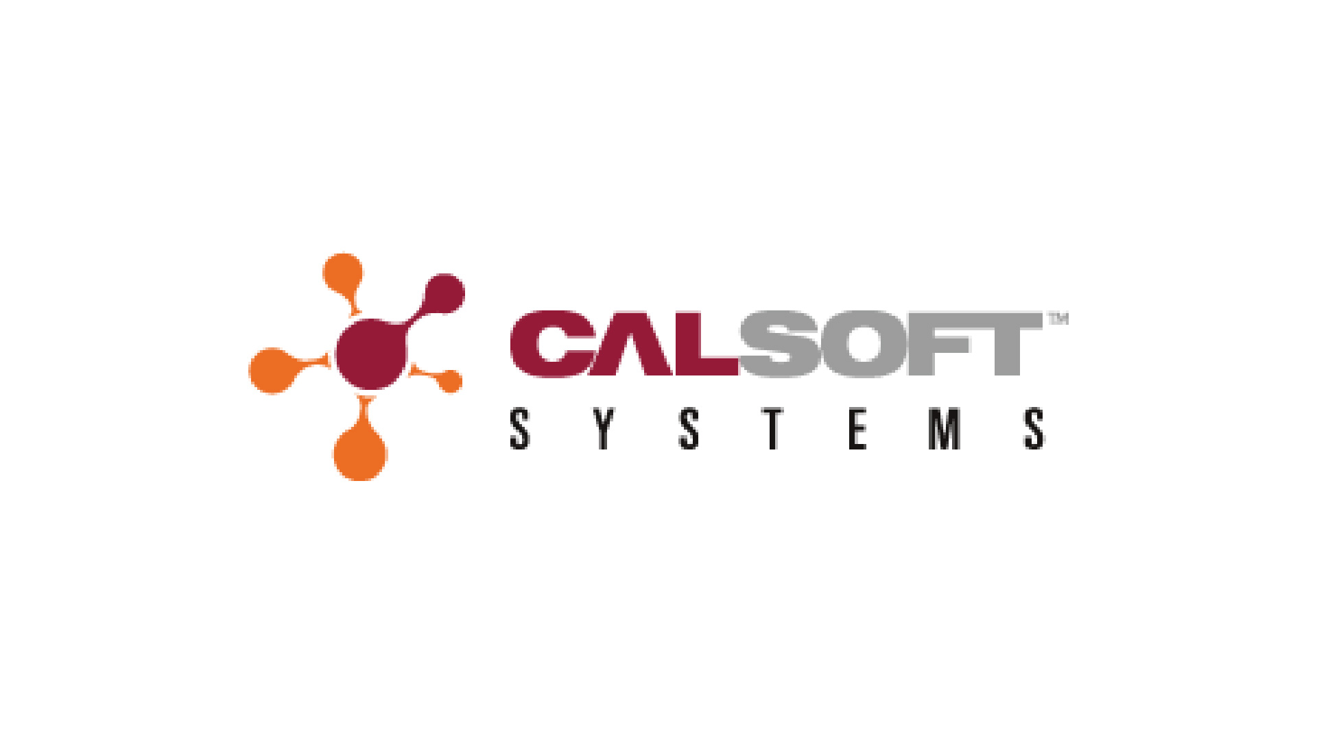 Calsoft Systems
